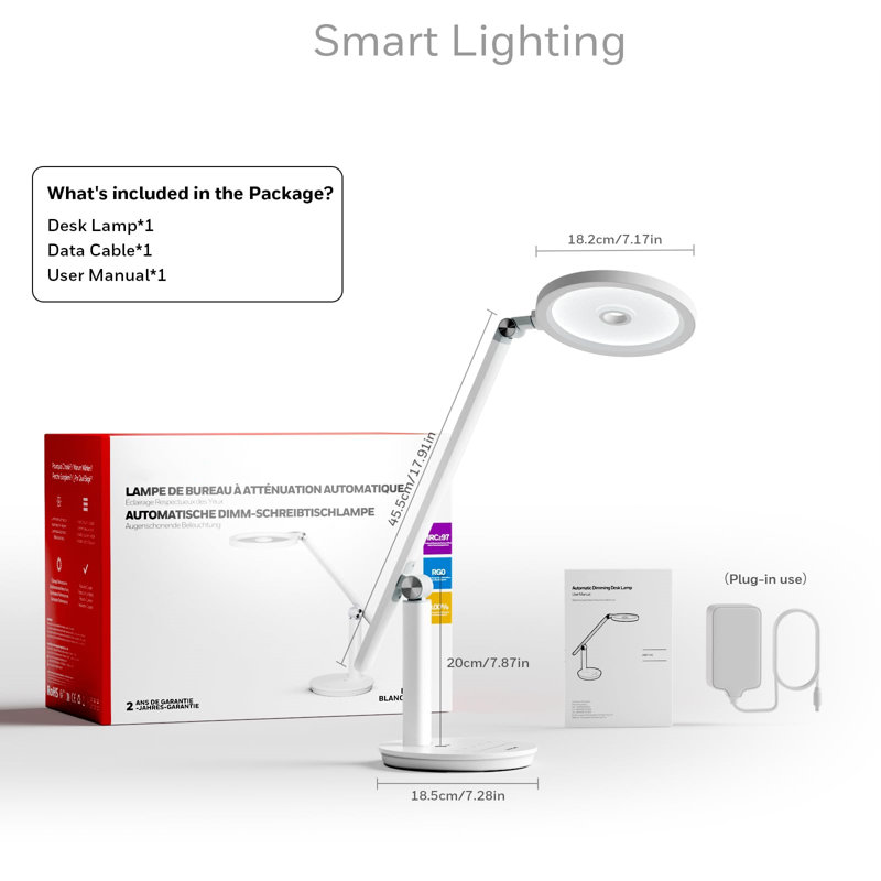 Desk Lamp