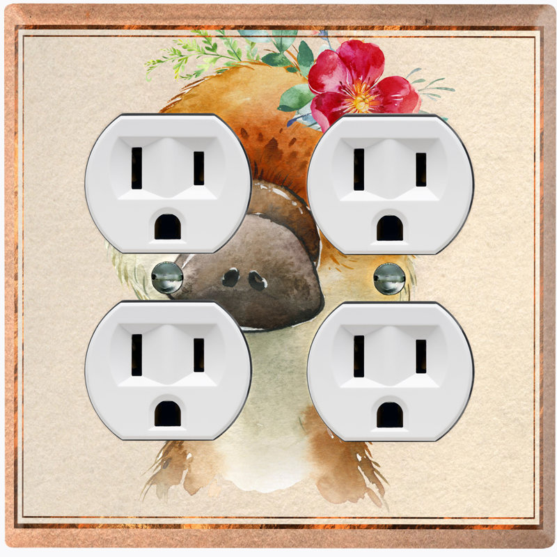 2 - Gang Toggle Light Switch Standard Wall Plate