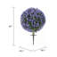 Ensemble de 2 plantes à balles topiaires Duchy Eucalyptus 16 po, 22 po de hauteur