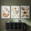 Collection de coquillages I - Toile tendue avec châssis sur mesure - 3 pièces-1280754859-1280754852