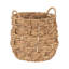 Figuier figuier avec panier Livia-479618063
