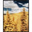 Here And Elsewhere XI Print by David Keochkerian-67116669-67116670