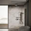 Pomme de douche à pluie Contemporary-169007075-220417306-169007074
