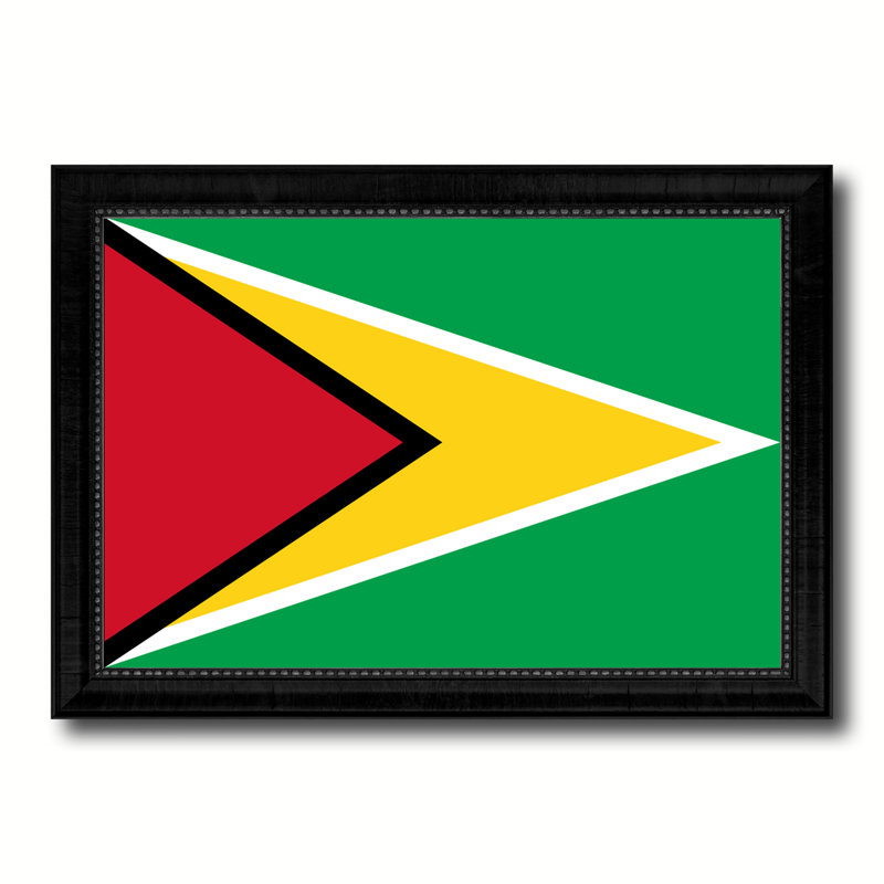 Drapeau du guyana sur toile, H 21 po x l 30 po x P 1 po, Encadrement noir
