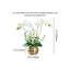 Arrangement