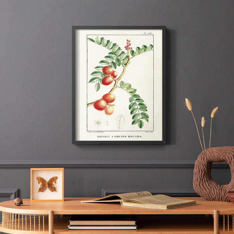 Reproduction encadrée Turpin Tropical Botanicals III - bois massif, Noir, H 28 po x l 22 po