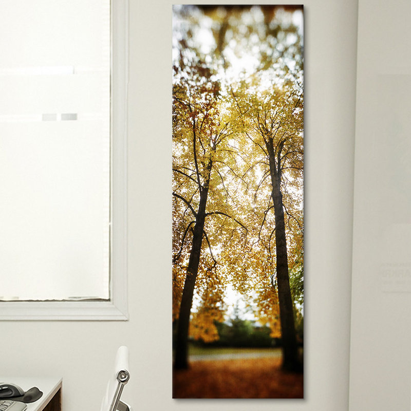 «Panoramic Autumn arbres in a park Volunteer Park, Capitol Hill, Seattle, King County, Washington State, USA» par Panoramic Images - reproduction d'art sur toile tendue