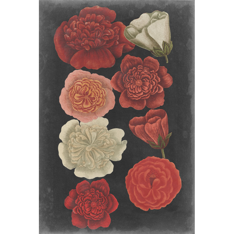 Roses de minuit, H 12 po x l 8 po x P 1,25 po
