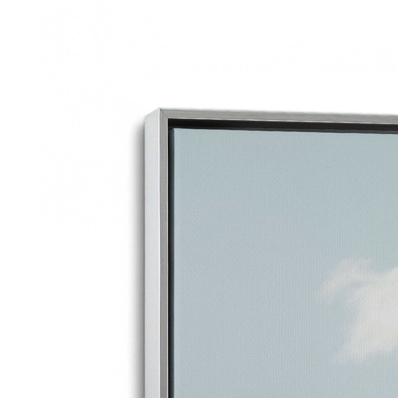 Impression sur toile Cacti Perch, Cadre en chrome poli, H 32,75 po x l 48,75 po x P 1,75 po
