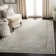 Evanoff Oriental Light Blue Area Rug