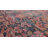 Forand Oriental Indoor  Rug-2137253182