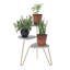 Styreman Plant Stand-454775191