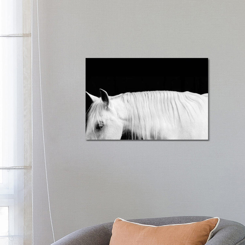 White On Black I by Samantha Carter - Gallery-Wrapped Canvas Giclée on Canvas, Canvas, 66.04 cm H x 45.72 cm W x 1.91 cm D