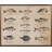 Fish Species-1822966768