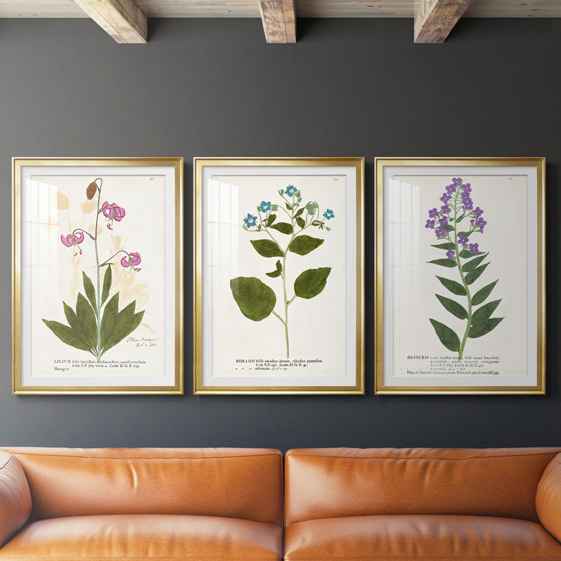 Nature Printed Botanicals V - reproduction sur mesure encadrée de qualité supérieure - 3 pièces, H 19 po x l 27 po, Doré