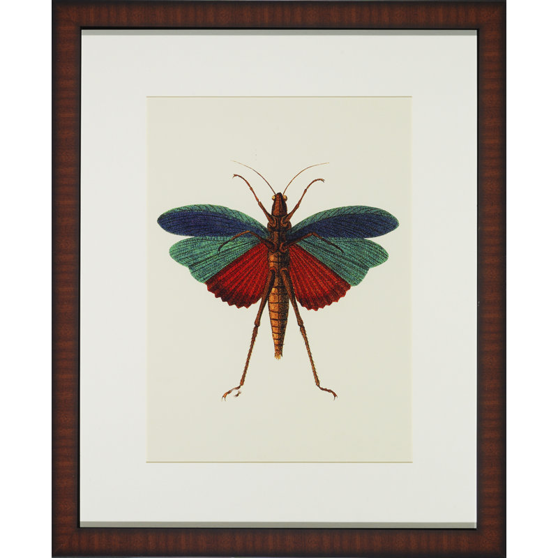 Tropical Insect I Print