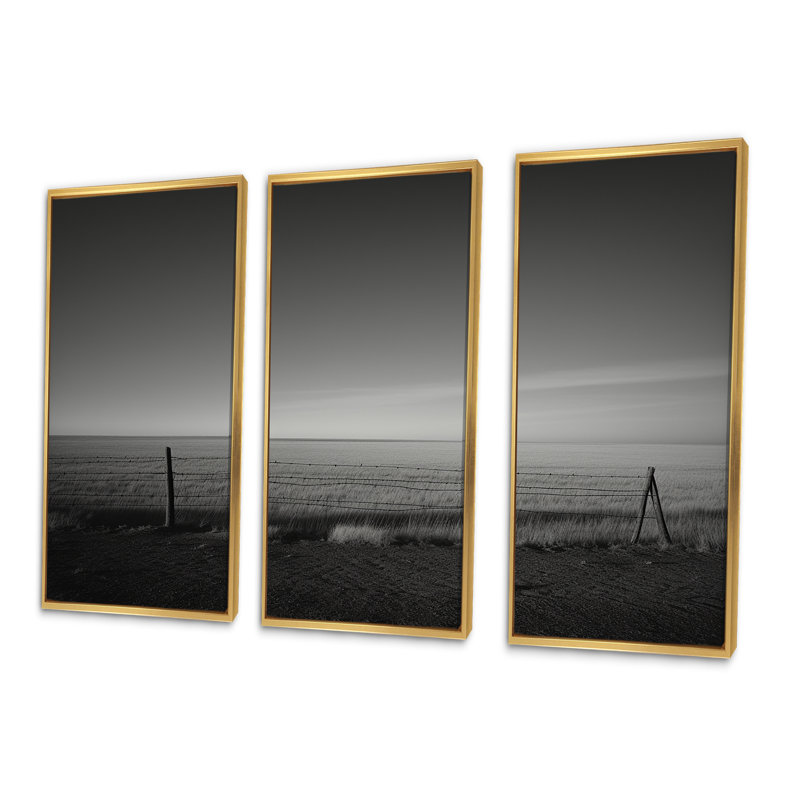 Black And White Meadow Photography - Meadow Canvas Art Set, Gold Floater Framed, 28" H x 36" W x 1" D