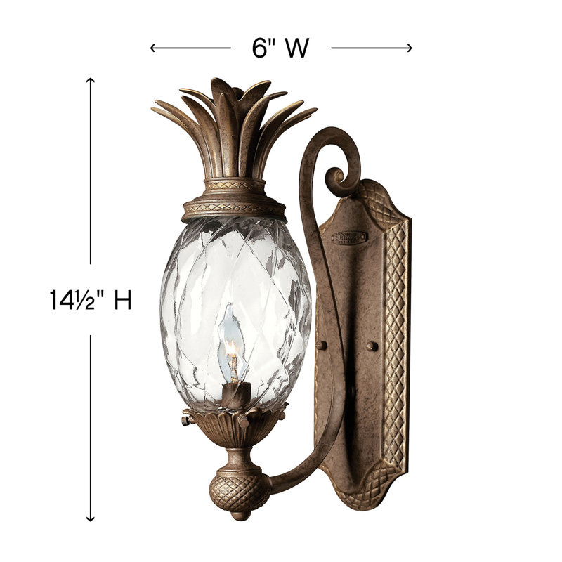 Pearl Bronze 1-Light Wall Sconce with Clear Optic Shade
