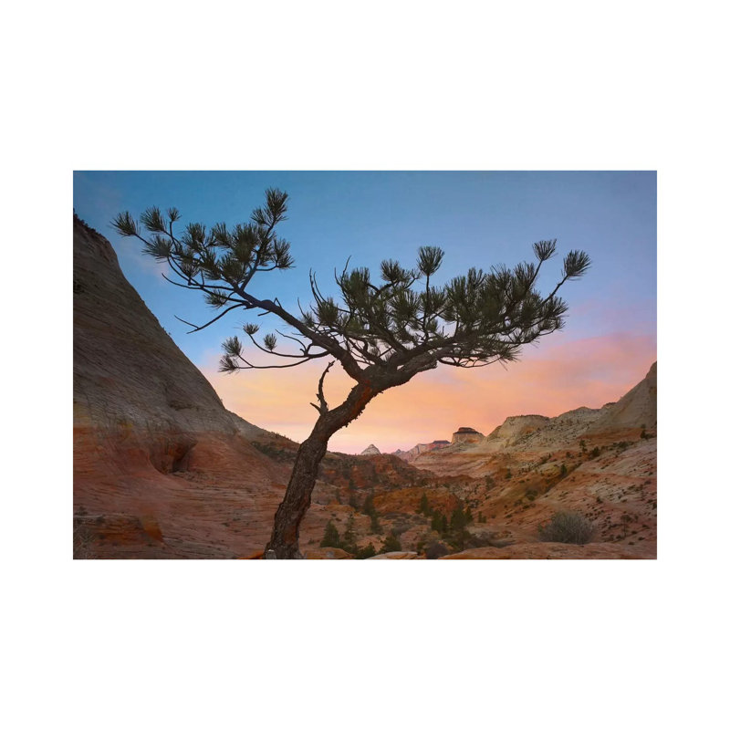 Lone Pine Tree With East And West Temples In The Background by Tim Fitzharris - Wrapped Canvas Print