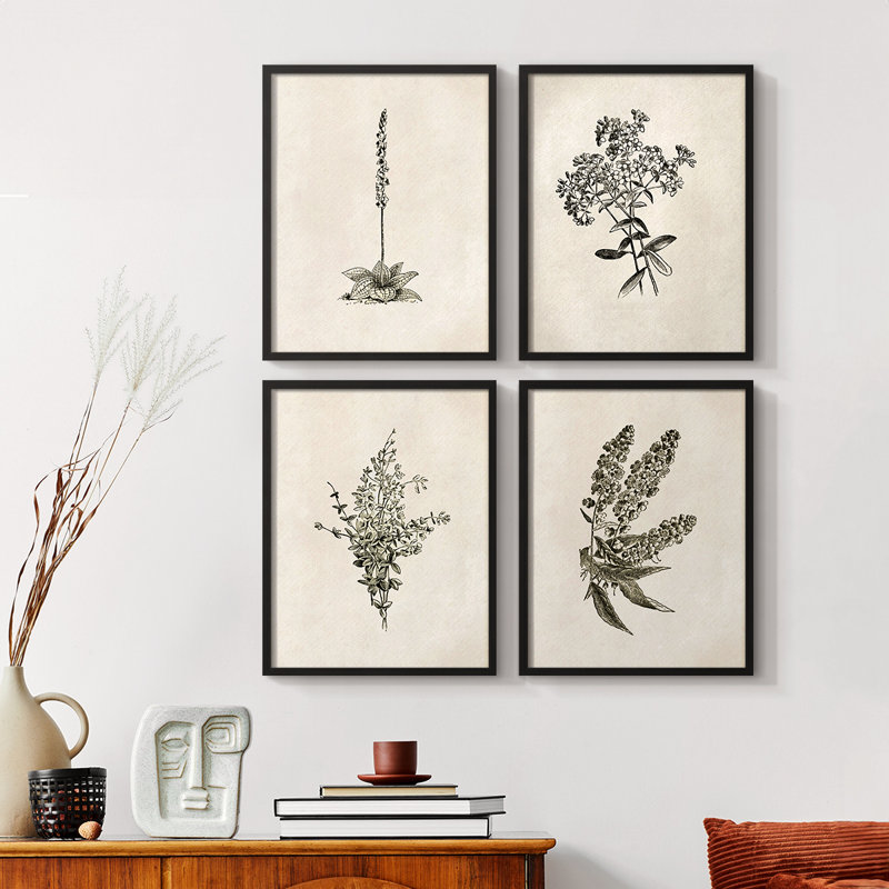 «Vintage Floral Print», impression encadrée «ACC», par 4, Cadre noir, H 10 po x l 32 po