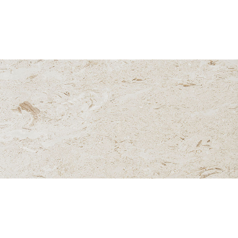 Fossil Stone 12" x 24" Limestone Wall & Floor Tile