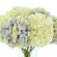 Arrangement floral Sarina-772502926