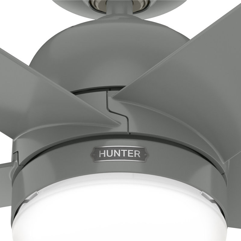 Ventilateur de plafond standard 52 pouces à 5 pales avec lumières et commande murale Anorak, gris