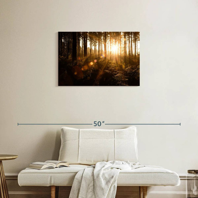 Alvord Pine Forest Sunrise, 20" H x 30" W