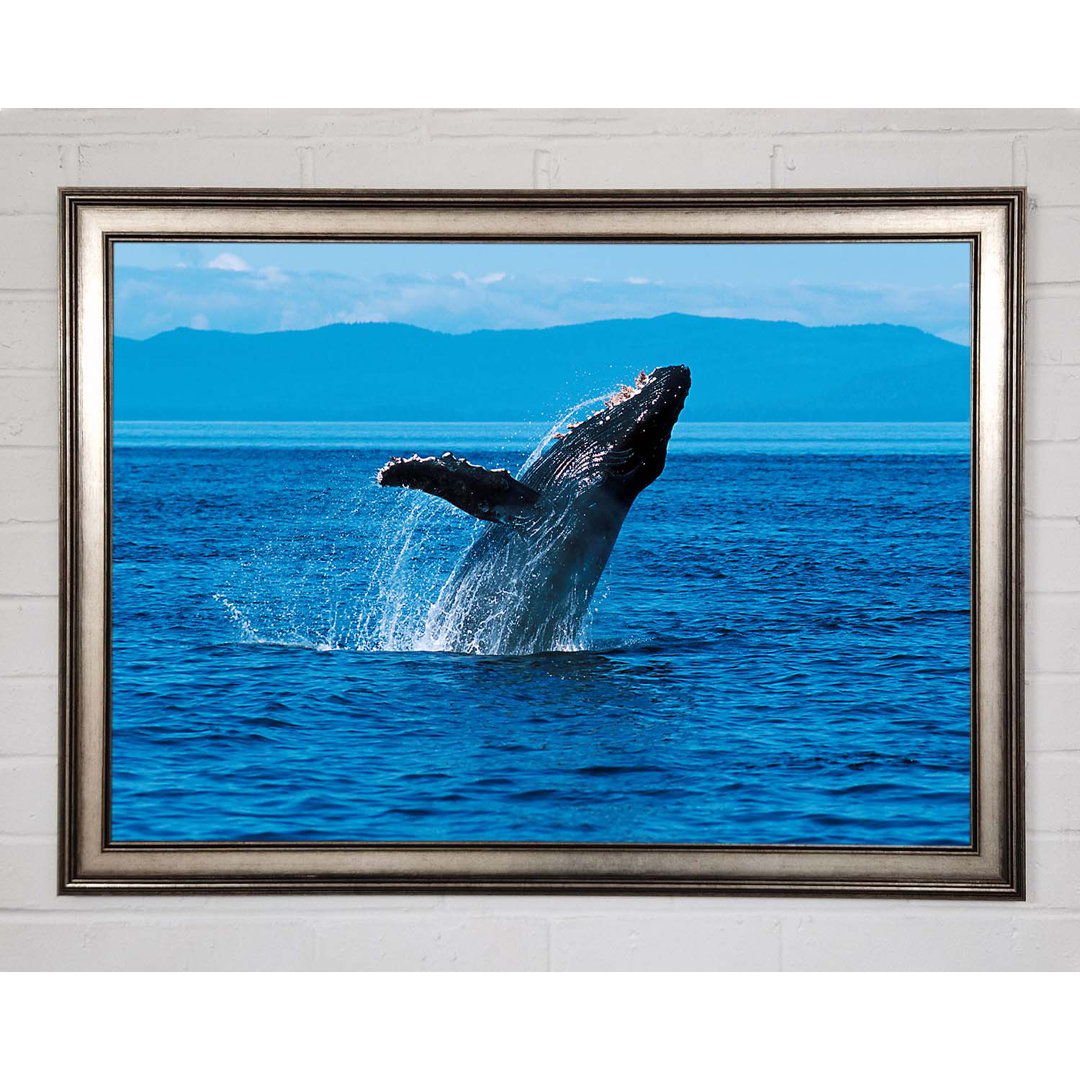 Gerahmtes Bild Whale Ocean Jump