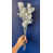 Argent sélectionné