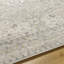 Zamirah Oriental Machine-Woven Polypropylene Gray Area Rug-1057861871