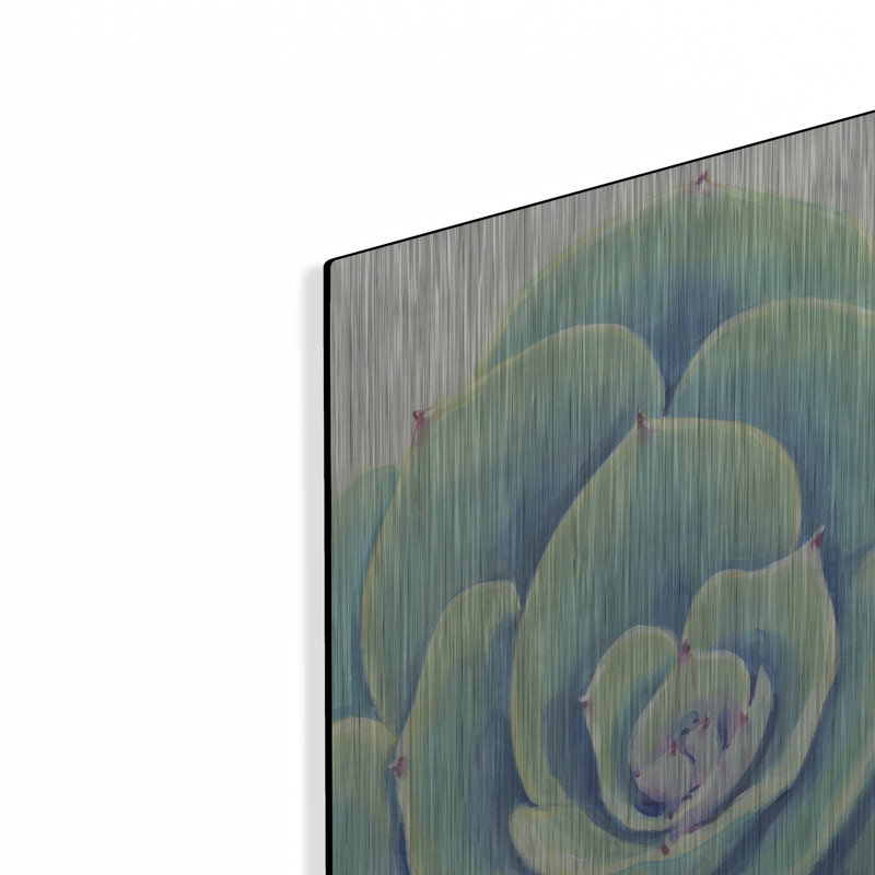 Luxe métal Art «Pastel Succulent IV» par Tim O'Tool «Luxe métal Art Pastel Succulent IV» par Tim O'Toole