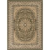 Oriental Area Rug in Green/Brown