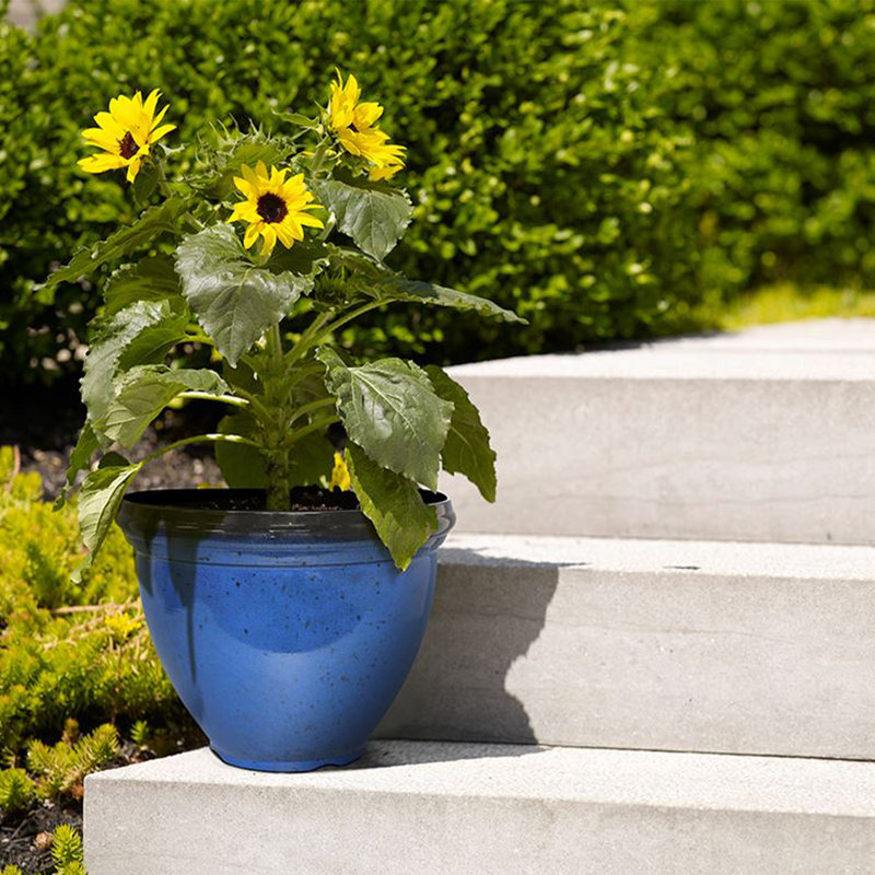 Pot Planter