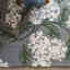 Customer photo 2 of 2