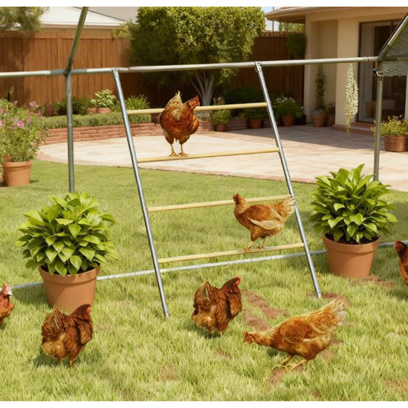 Chost Roost For Coop, barre de repos Jungle Gym, 55 po x 33,75 po
