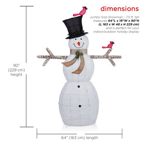 The Holiday Aisle® Snowman Lighted Display & Reviews | Wayfair