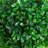 Zeigler 23.6'' H Artificial Boxwood Topiary Tree