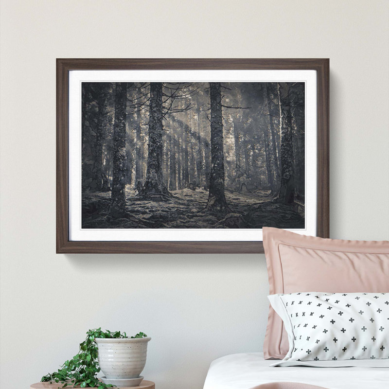 Pine Tree Forest - Picture Frame Graphic Art Print, Walnut Framed, 36cm H x 48cm W x 2cm D