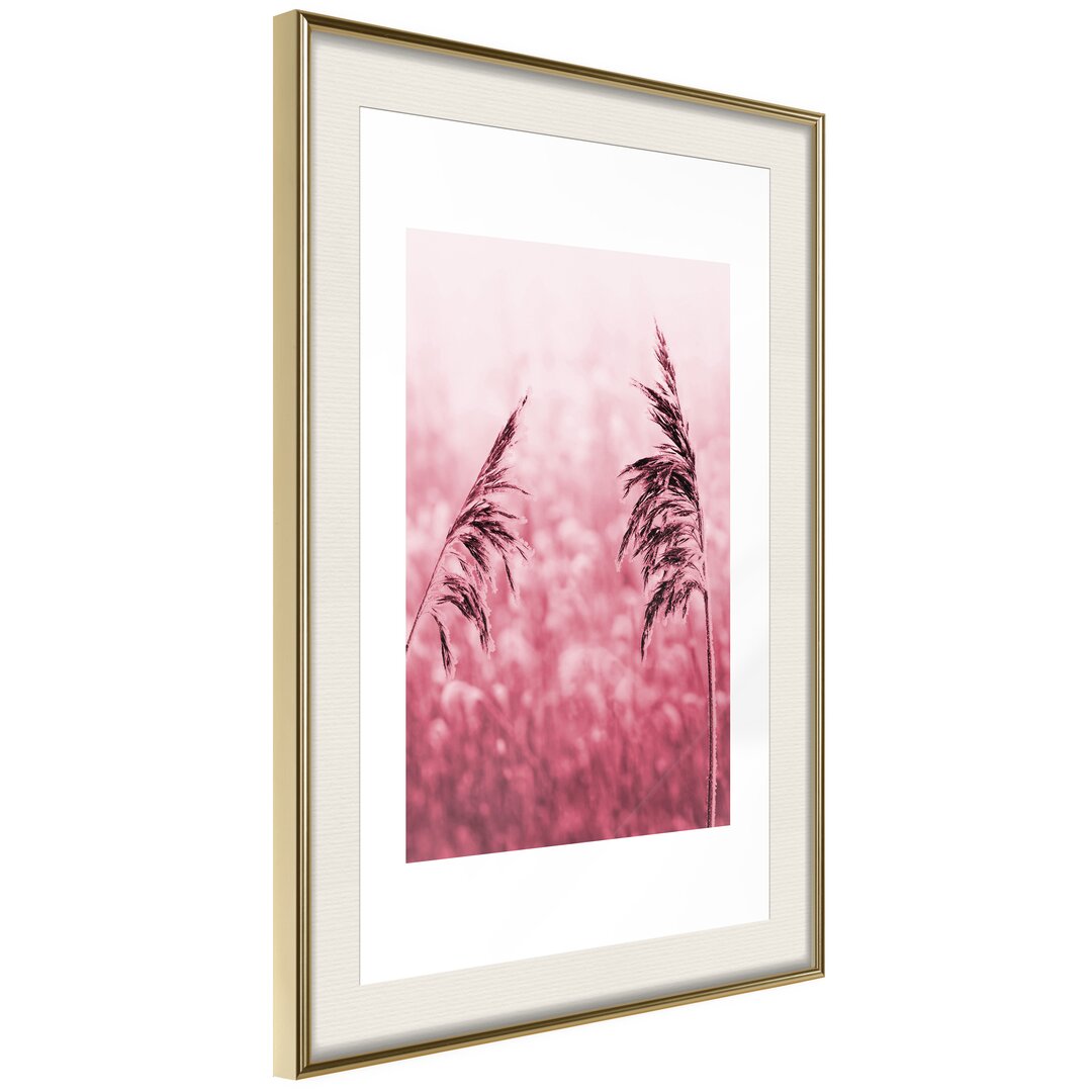 Gerahmtes Poster Amaranth Meadow