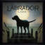 «Moonrise Black Dog Labrador Lake (Square)» par Ryan Fowler, reproduction-560549424-560549430