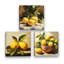 Ensemble de 3 art mural de cuisine de nature morte au citron 12 po x 12 po