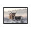 «Highlander and Calf», photographie-43719066-43719073