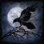 Corbeau par Martin Wagner - estampe numérique sur toile tendue avec châssis-20922527-73091841-73091842