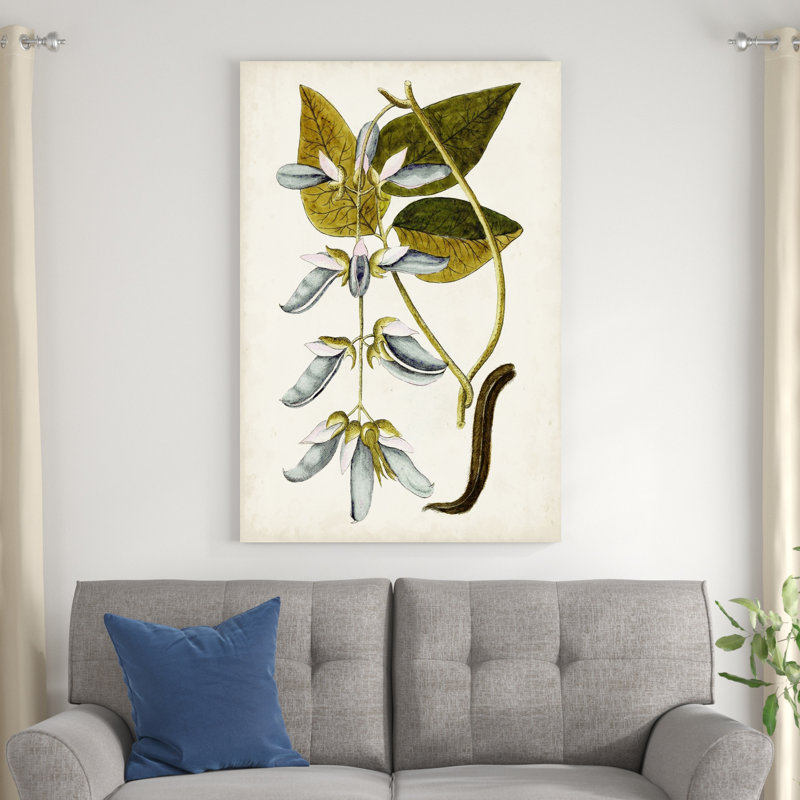 Étude botanique antique V, H 48 po x l 32 po x P 1,25 po