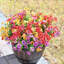 12 fleurs artificielles résistantes aux rayons UV résistantes aux rayons UV-1842748201