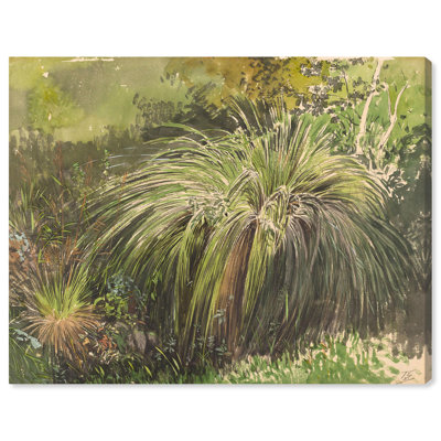 Meadow with Fountain Grass 