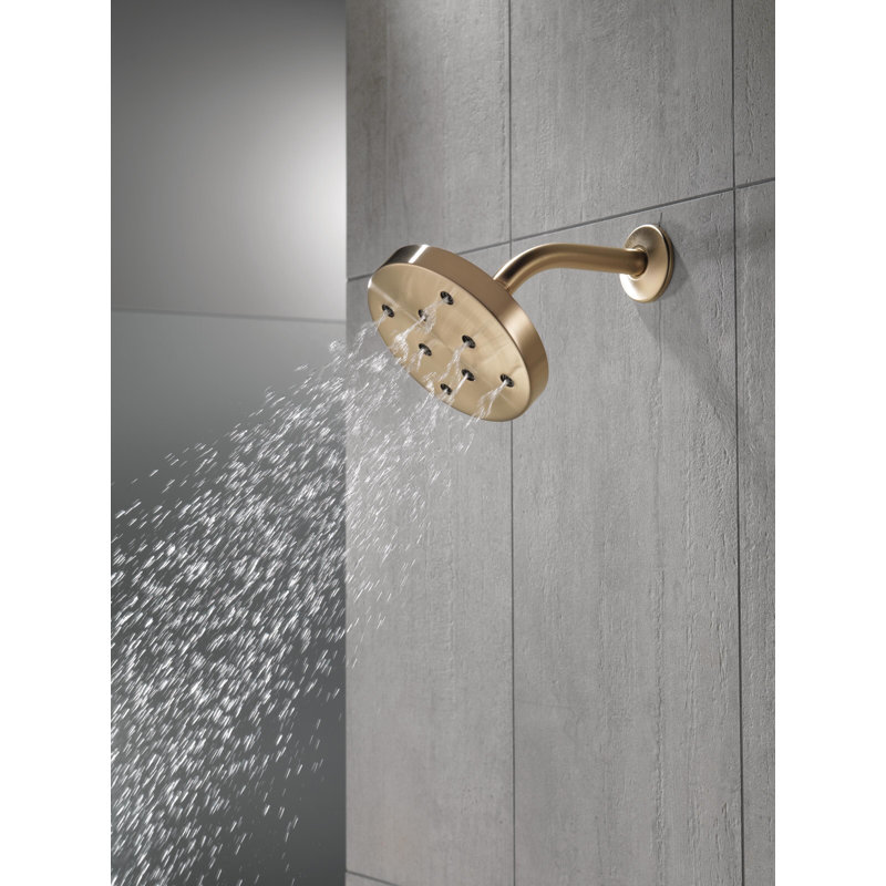 Rain Dual Shower Head with H2Okinetic Technology, Lumicoat Champagne Bronze