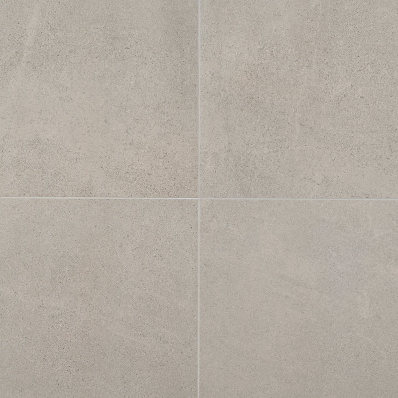 Roosevelt 24 in. x 24 in. Matte Porcelain Floor and Wall Tile (4 Pieces 15.49 Sq. Ft. / Case), Rock