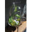 Audrina Handmade Glass Table Vase-1475834232
